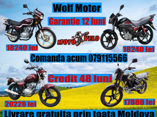 Wolf Motors 150cc Model 2024 foto 2