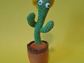Cactusul vorbitor