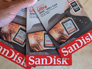SD Cards 256 GB foto 1