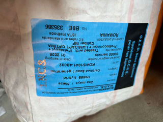 Se vinde porumb pioneer 9889 tratat cu insecticid bun  foto 0
