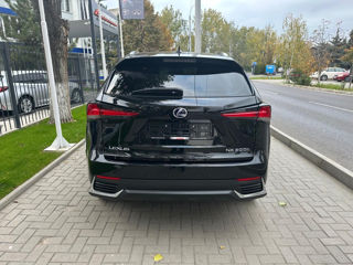 Lexus NX Series foto 6