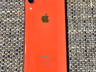 iPhone XR 256 GB foto 5