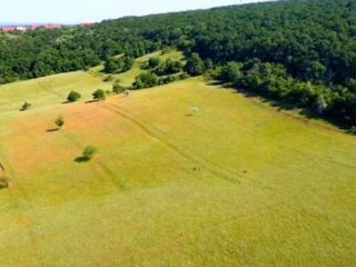 Hincesti 19 hectare pe un număr cadastral marginea orasului lingă pădure foto 7