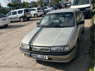 Nissan Primera foto 6