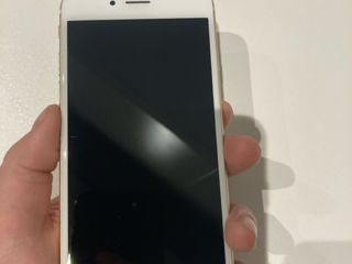 iPhone 6