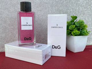 Dolce & Gabbana L'Imperatrice 3 foto 2