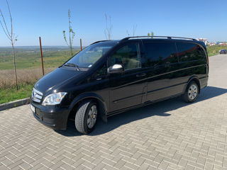 Mercedes Viano