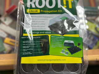 VALUE Rooting Sponge Propagation Kit, set complet pentru germinarea semințelor sau înrădăci foto 0