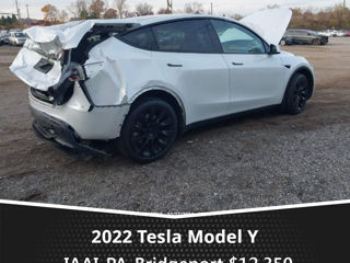 Tesla Model Y foto 5