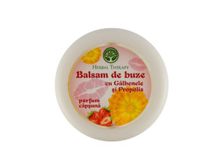 Balsam de Buze cu Gălbenele și Propolis (Parfum de Căpșună), 20 ml