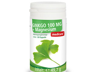 Ginkgo Biloba 100 mg + Magneziu Гингко Билоба 100 мг + Магний