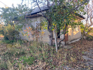 Дом с времянкой в 7 км от Бельц casa Corlateni foto 6