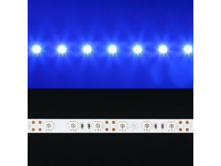 Bandă LED SMD 2835 120 diode pe metru IP20 albastru foto 5