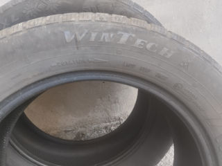 Wintech 225 55 R17 foto 2