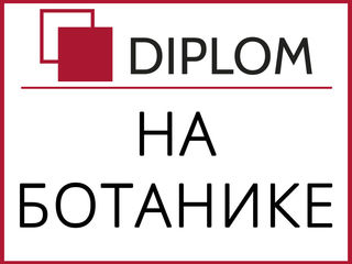 Бюро переводов Diplom на Ботанике, пр. Дечебал 139 b, этаж 1, офис 101 + апостиль, оперативно foto 2