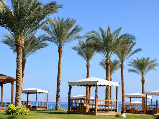 Египет-Шарм Эль Шейх,Отель-"Sunrise Montemare Resort Grand Select 5*"Вылет 26.07 от "Emirat Travel" foto 3