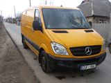 Mercedes sprinter 313 cdi foto 5