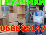 Бус и минибус есть и грузчики (очень шустрые)+цены низкие foto 9