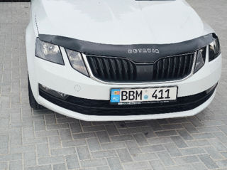 Skoda Octavia foto 3