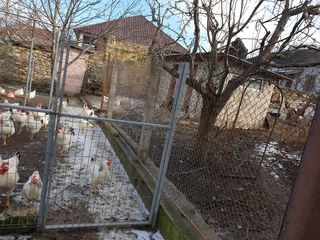 Casa în Șoldănești foto 3