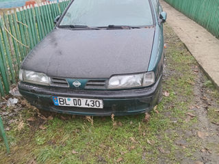 Nissan Primera foto 5