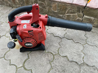 Stihl Karcher Hyundai foto 7