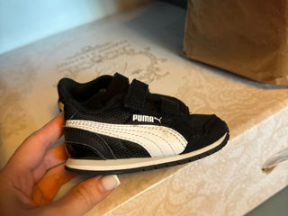 puma , mar.20