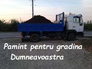Servicii bobcat. servicii ecsavator. camioane basculante 0.5 -7 tone. evacuarea gunoiului. фото 4