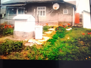 In Rate poate fi Casa  visurilor tale. Raionul Briceni satul Şireuţi ling oraşul Lipcani la Mold. foto 6