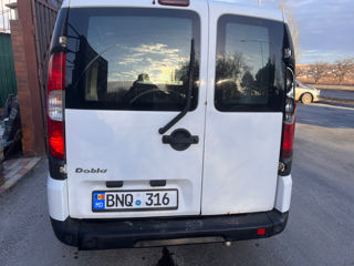 Fiat Doblo Cargo foto 5