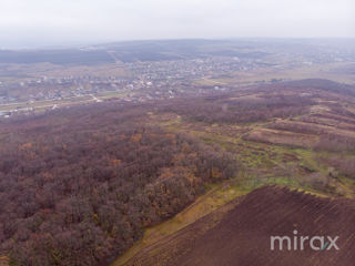 com. Ghidighici, Chișinău, Moldova foto 11