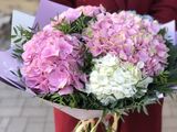Livrare flori Chisinau