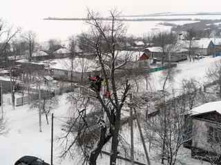 Tăierea lemnulor și a pomilor! Arborist! taierea copacilor in spatii închise ! Pe toata teritoria MD foto 4