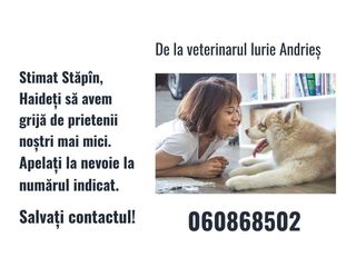 Asistență veterinară urgentă. foto 2