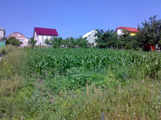 Vind teren pentru constructia casei + proiect de casa la Chisinau Ciocana-Bubuieci,10 ari,11888euro foto 1
