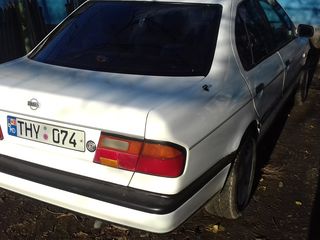 Nissan Primera foto 1