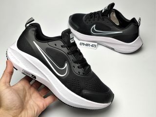 nike pegasus v10