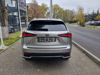 Lexus NX Series foto 6