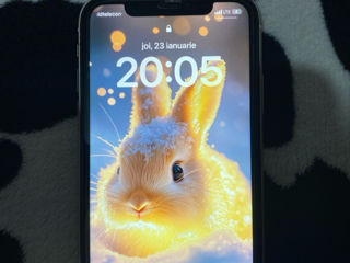 IPhone 11 foto 6