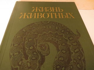 Детские книги, игрушки–отличные подарки для детей на Новый год foto 8