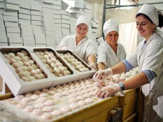 Munca la fabrici de produse alimentare,fructe si legume. foto 8