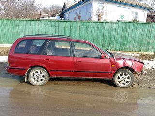 Nissan Primera foto 1