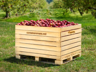 Фирменные деревянные контейнеры для яблок foto 3