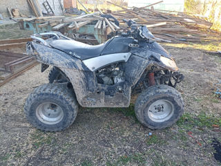 Boss ATV E-ton 250 cm3