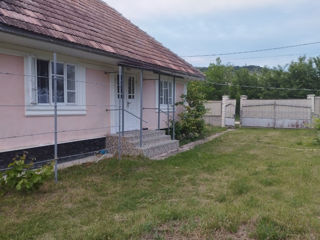 Сдается посуточно два дома в живописном селе Наславча Окницкого района foto 6