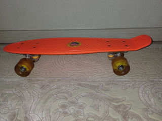 Pennyboard/Skateboard