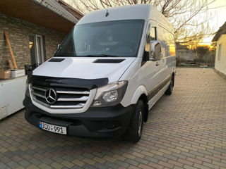 Mercedes 313  2015 foto 2