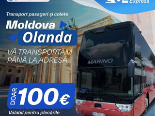 Transport Moldova - Olanda ! фото 2