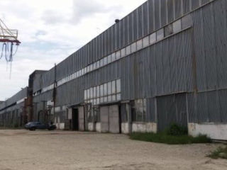 Uzina de tevi din Moldova spre vinzare/ oras. Falesti foto 0