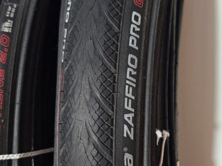 Vittoria Zaffiro Pro 700x28c Graphene 2.0 foto 2